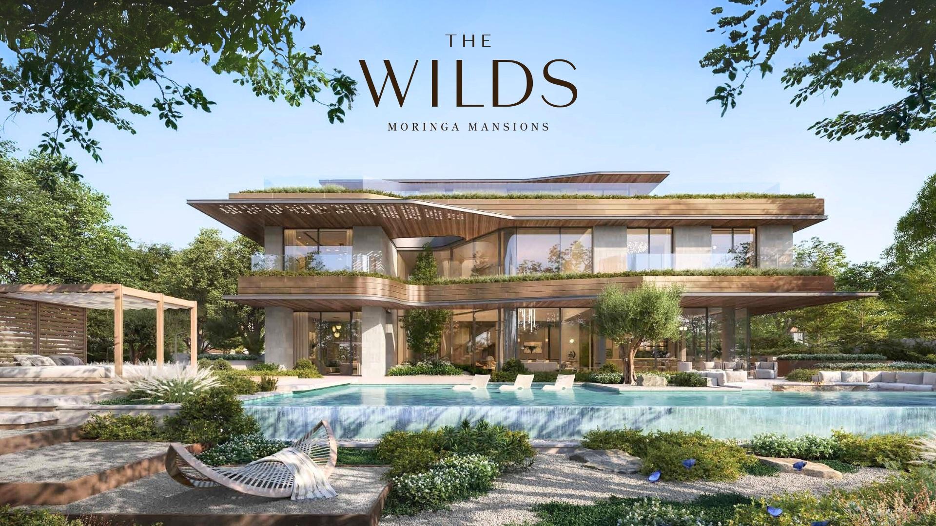 Moringa Mansions The Wilds