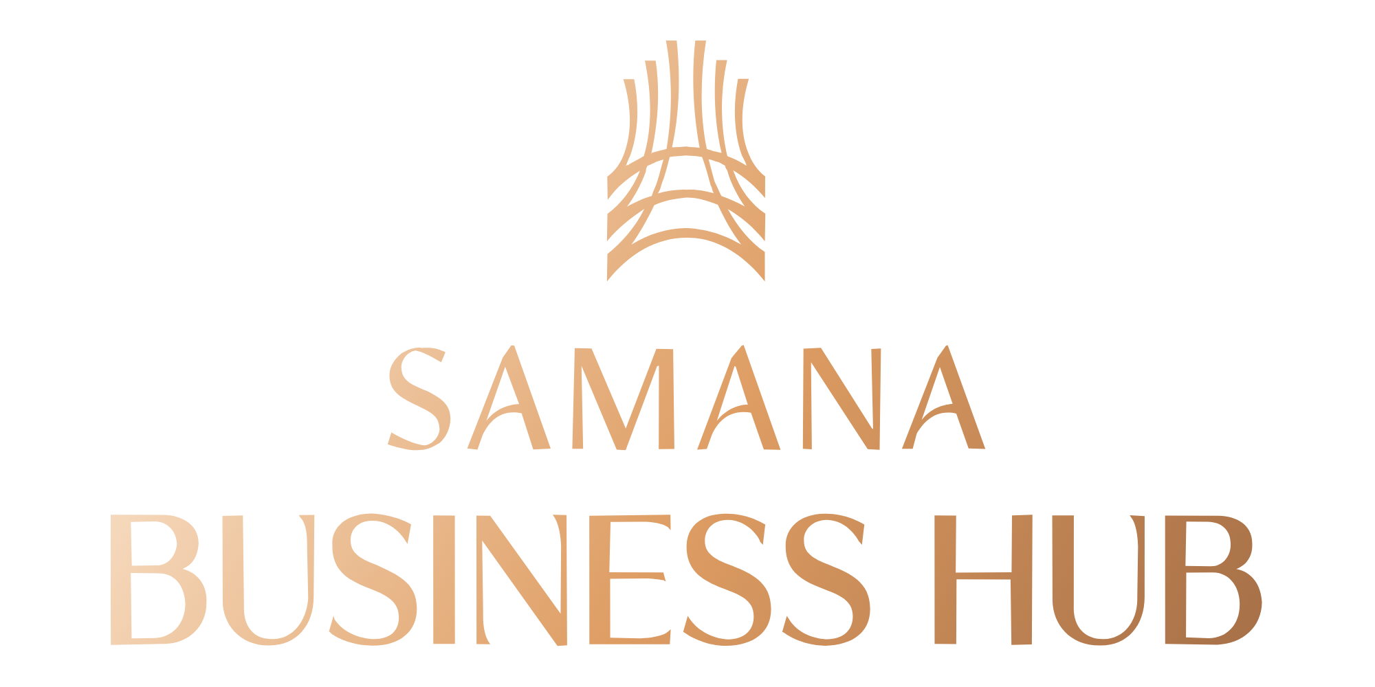 Samana Business Hub