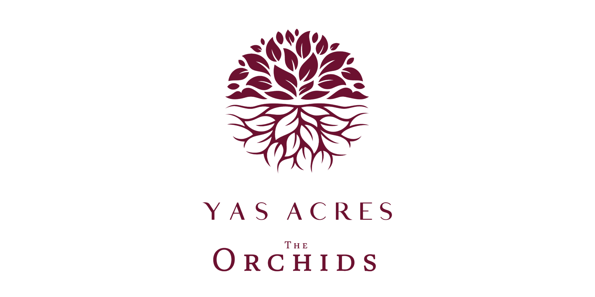 The Orchids